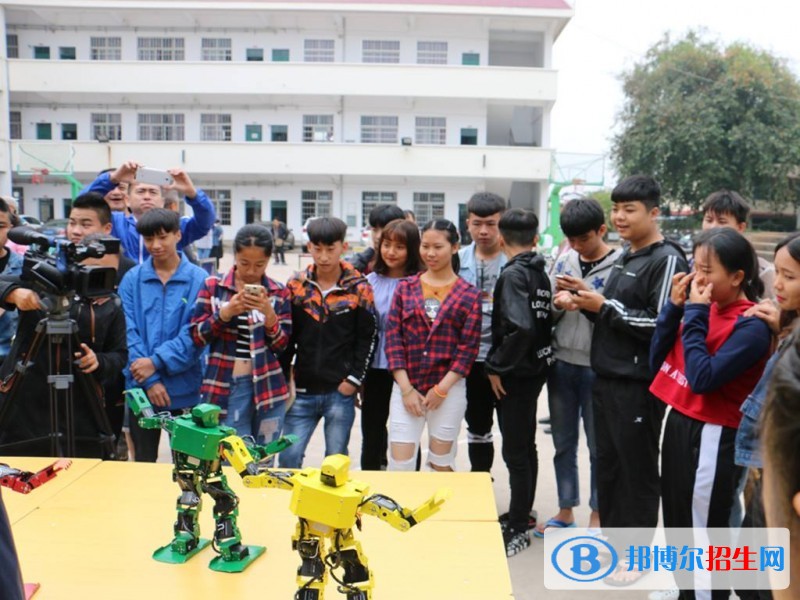 红河中专学校能学什么
