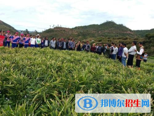楚雄初中毕业能上中专学校吗
