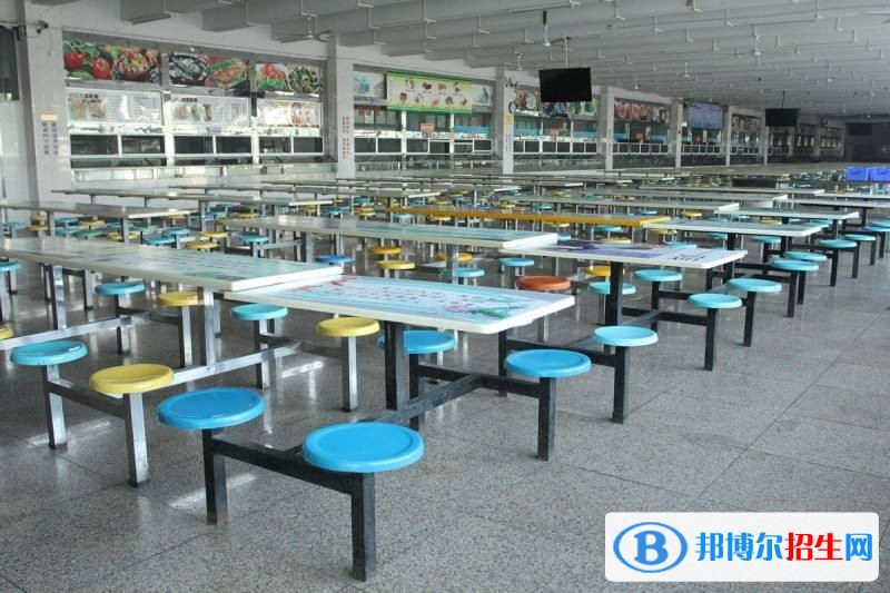 红河中专学校学什么
