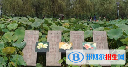 QQ截图20181102092835