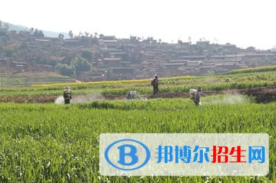 楚雄读中专学校有用吗