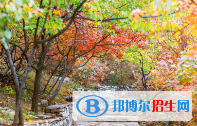 QQ截图20181102154813