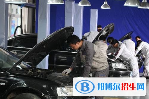 红河中专学校学什么好找工作