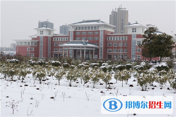 滁州职业技术学院2019年单招录取分数线