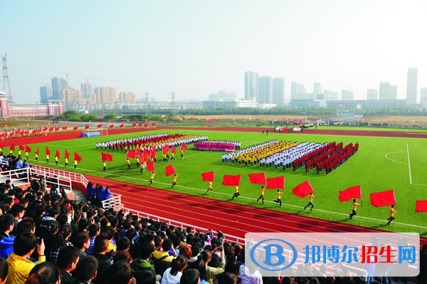 滁州职业技术学院单招报名条件