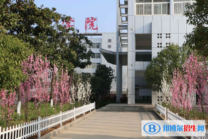 皖西卫生职业学院2019年单招录取分数线