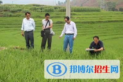 楚雄高中上什么中专学校好