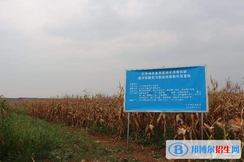 红河中专学校有哪些专业