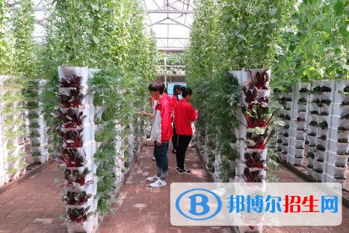 红河中专学校读什么专业有前途