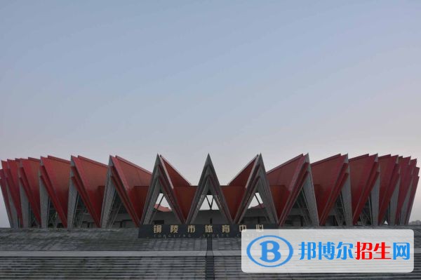 铜陵职业技术学院单招报名条件