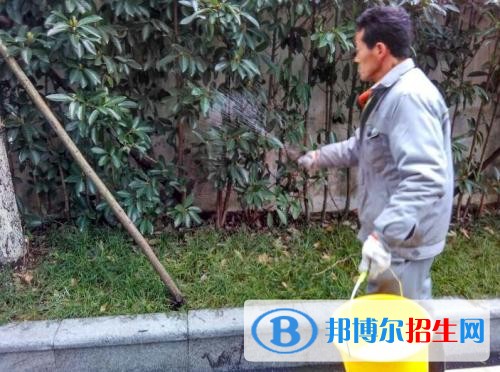 红河中专学校一般读几年