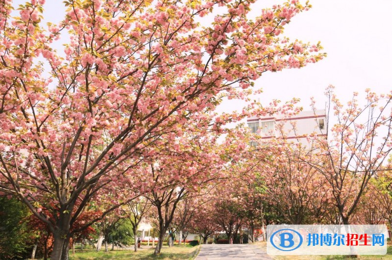 安徽国防科技职业学院单招简章
