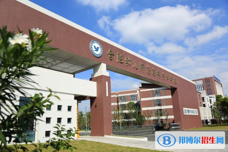 合肥幼儿师范高等专科学校2019年单招录取分数线