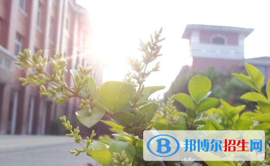 QQ截图20181112093534