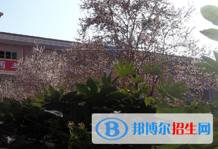 QQ截图20181112093500