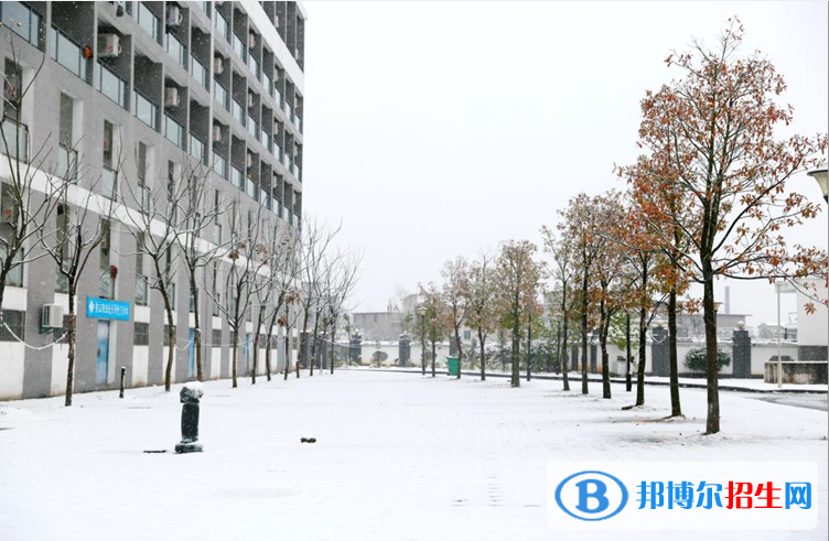 黄山职业技术学院单招报名条件