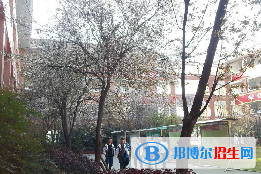 崇州崇庆中学怎么样、好不好