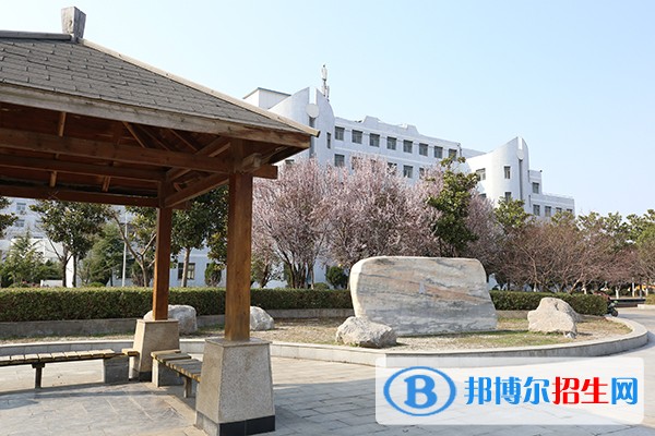 亳州职业技术学院单招简章