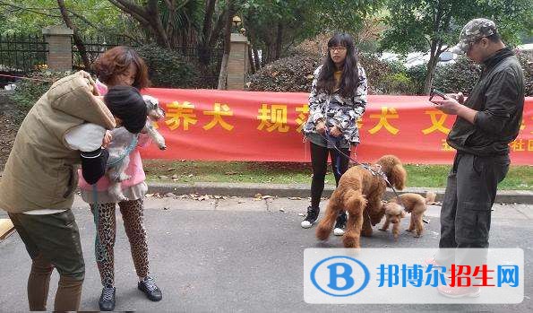 六盘水中专学校有哪些专业比较好