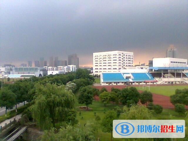 宁波城市职业技术学院2019年单招录取分数线