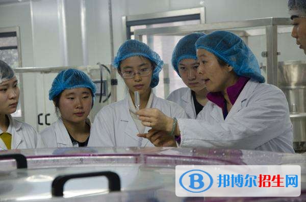 南充中专学校都有哪些专业