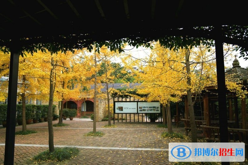 四川国际标榜职业学院五年制大专招生办电话
