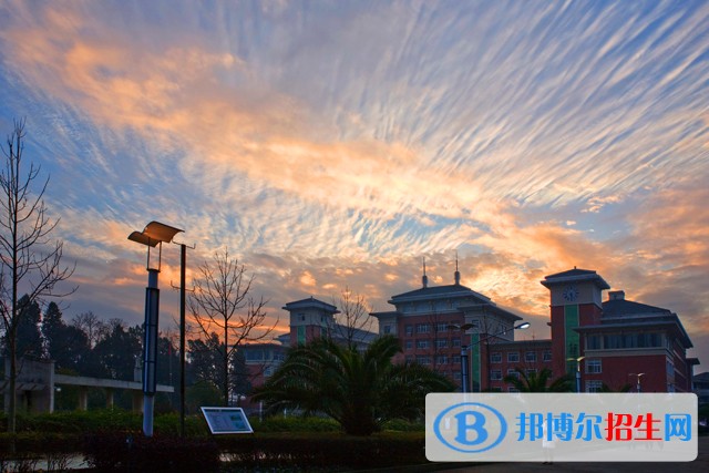 丽水职业技术学院单招成绩查询时间