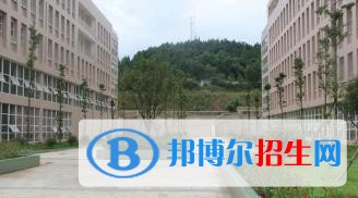 巴中职业技术学院五年制大专学校学费