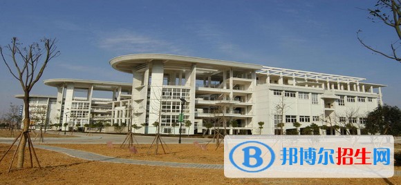宁波职业技术学院2019年单招录取分数线