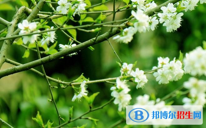 2345截图20181122091711