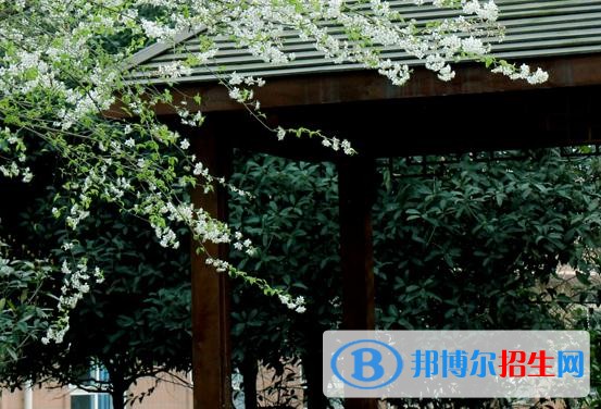 2345截图20181122091729