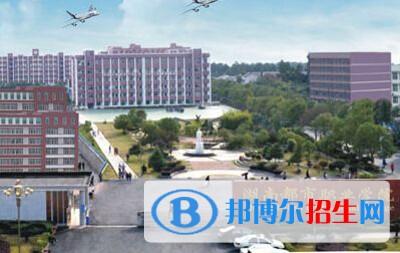 湖南都市职业学院2019年单招录取分数线