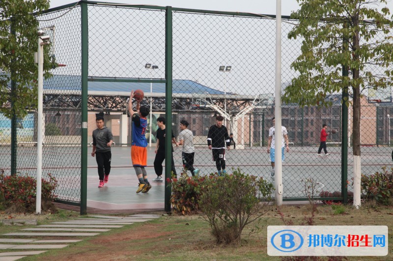 长沙商贸旅游职业技术学院2019年单招录取分数线