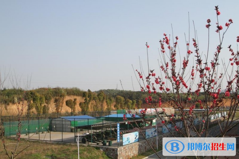 岳阳职业技术学院单招报名时间