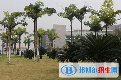 内江读中专学校好还是高中好