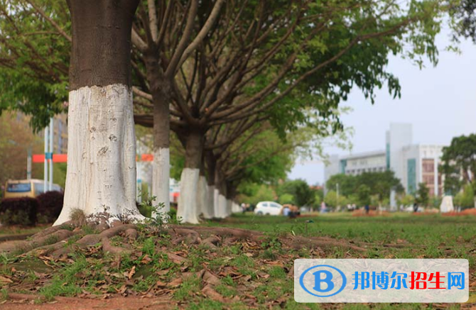 江西应用技术职业学院单招报名时间