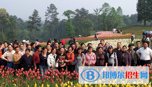 QQ截图20181205144120