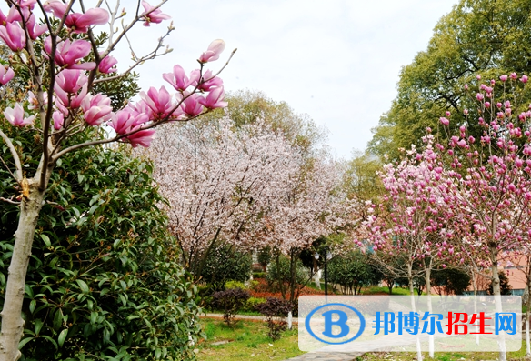 江西生物科技职业学院2019年单招录取分数线