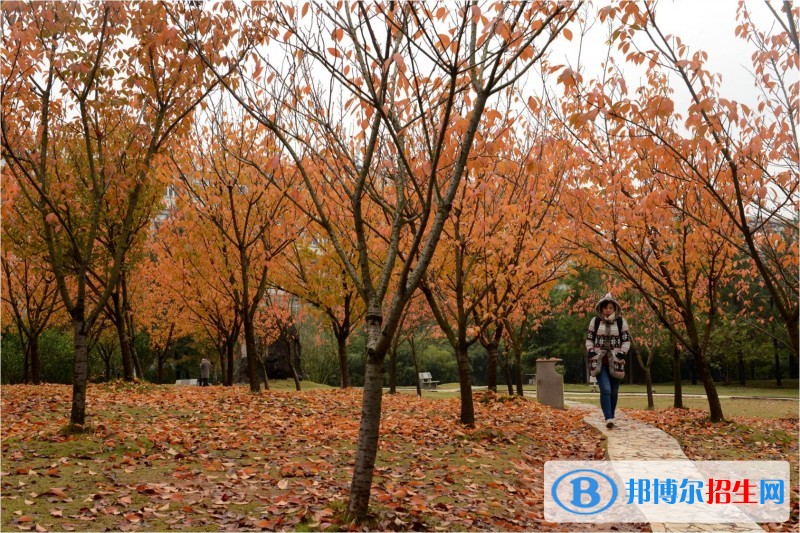 武汉软件工程职业学院单招简章