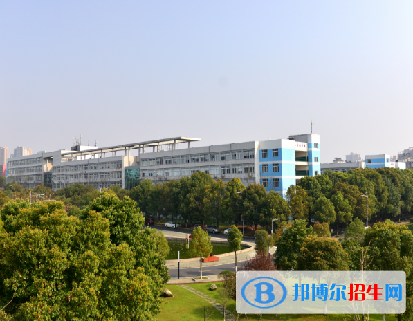 武汉软件工程职业学院2019年单招录取分数线