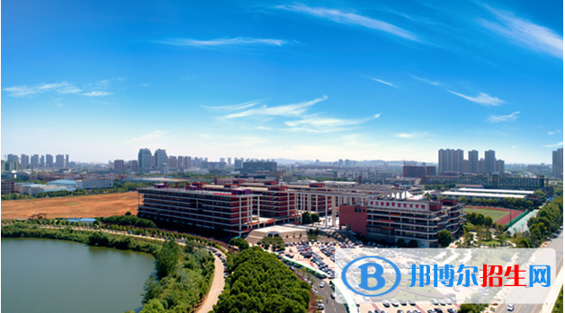 高职单独招生报名网址入口