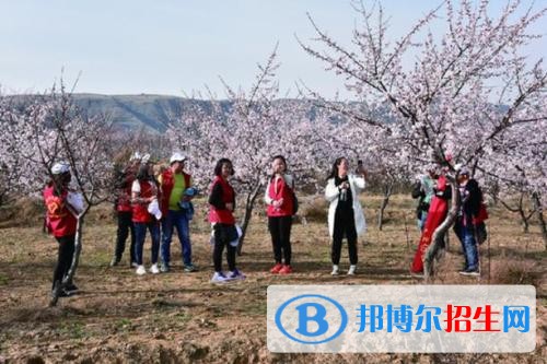 代县职业技术学校地址在哪里