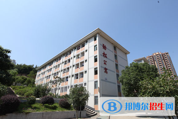 湖北工程职业学院2019年单招录取分数线