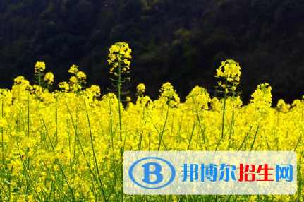 QQ截图20181214141151