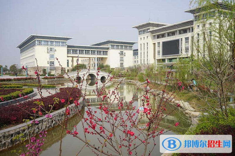 湖北中医药高等专科学院2019年单招录取分数线