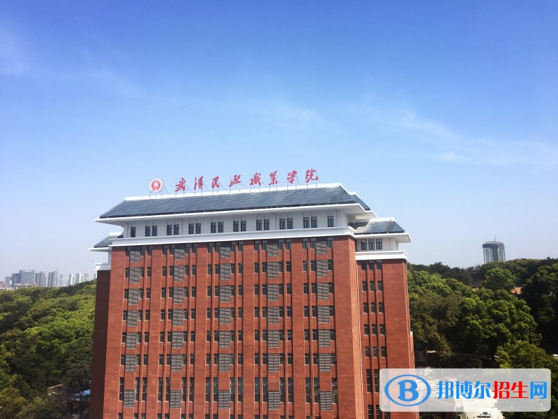 武汉民政职业学院2019年单招录取分数线