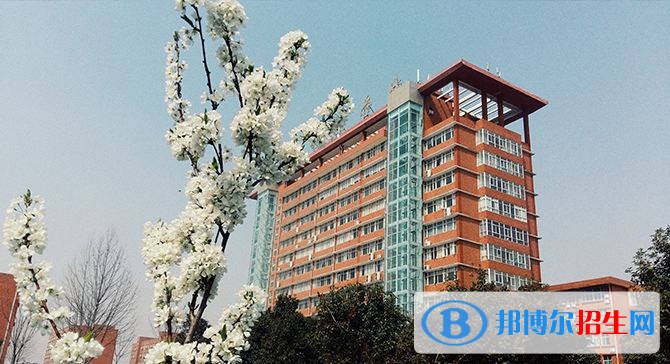 洛阳科技职业学院单招报名条件