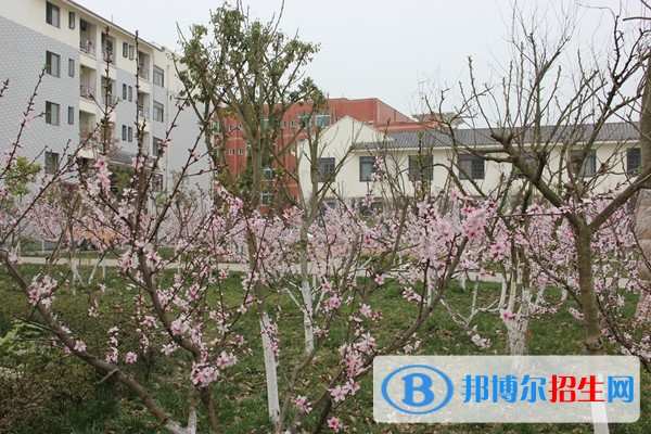 孝泉师范学校五年制大专收费标准