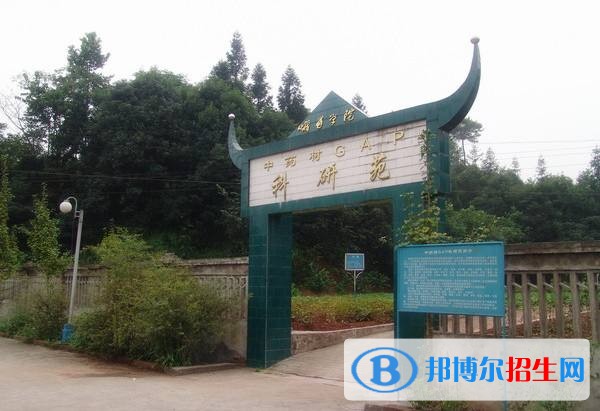 乐山初中毕业读什么中专学校好