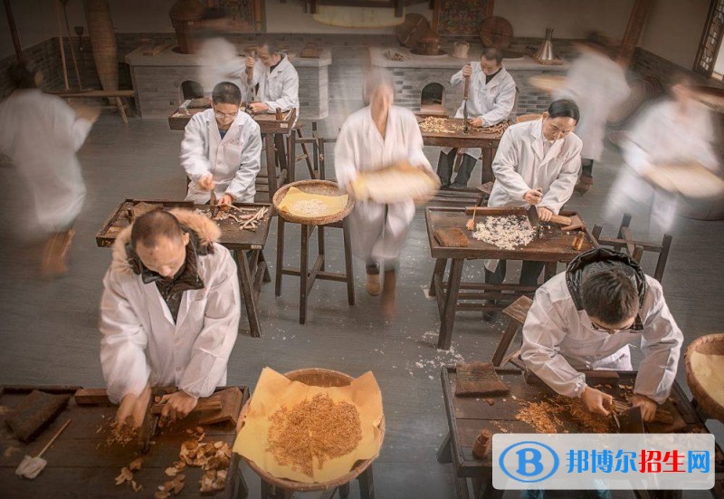乐山现在读中专学校什么专业好